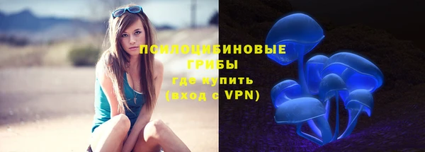 СК Алексин