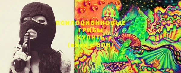 СК Алексин