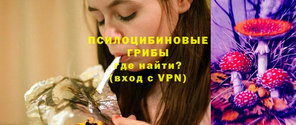 СК Алексин