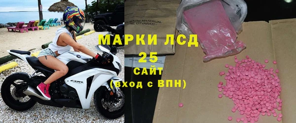 СК Алексин