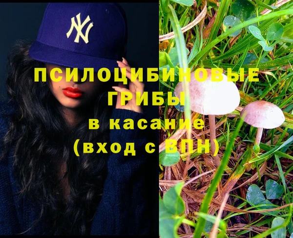 дурь Алексеевка