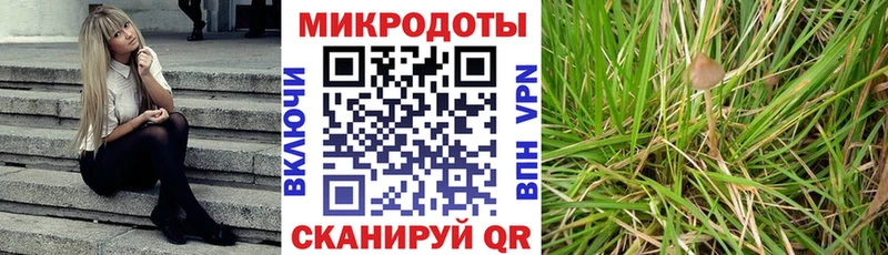 hydra вход Мирный Псилоцибиновые грибы мицелий что такое наркотик